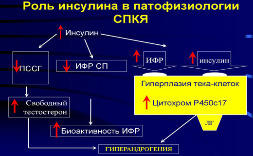 инсулин и поликекистоз яичников