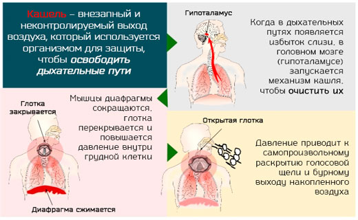 кашель